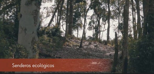 Lote en venta en Las Palmas, Envigado, 1495 m² · foto 3 de 7