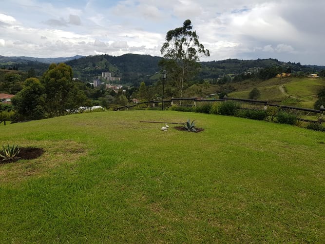 Finca en venta en Monta�Ez, Guarne, 6500 m² · foto 13 de 20