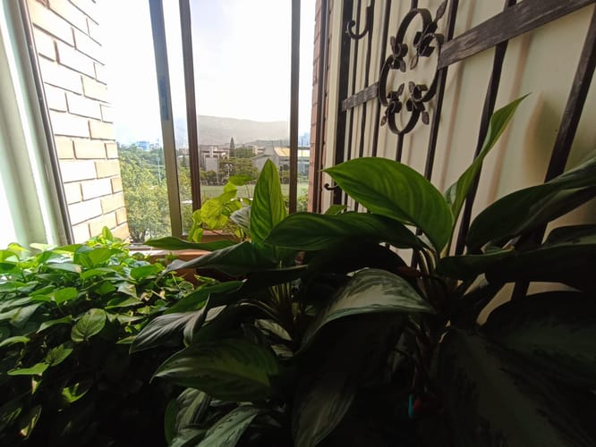 Apartamento de 4 alcobas en venta en Bolivariana, Medellín, 120 m² · foto 13 de 20