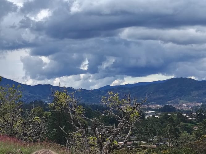 Lote en venta en Quirama, El Carmen de Viboral, 2907 m² · foto 14 de 15