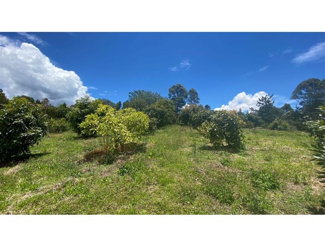 Lote en venta en El Tablazo, Rionegro, 12830 m² · foto 2 de 12
