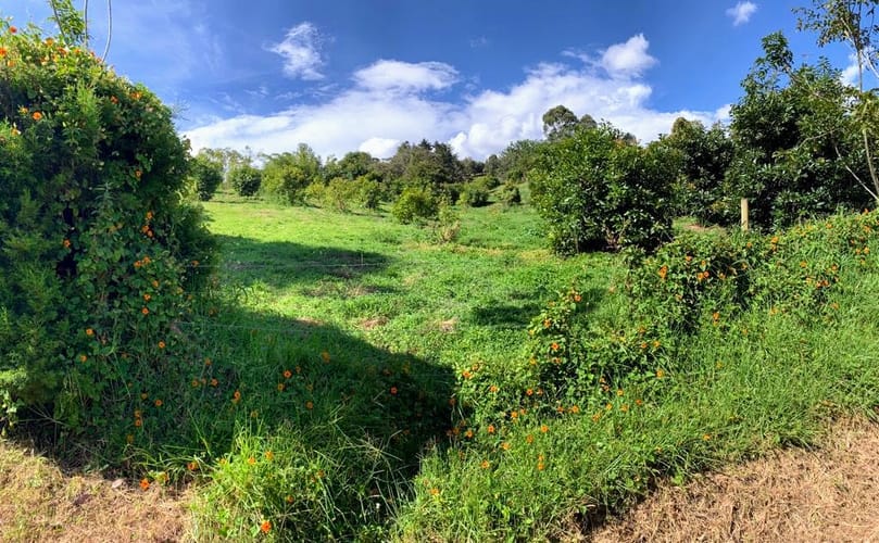 Lote en venta en El Tablazo, Rionegro, 12830 m² · foto 4 de 12