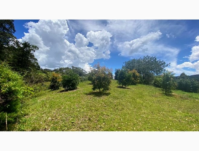 Lote en venta en El Tablazo, Rionegro, 12830 m² · foto 5 de 12