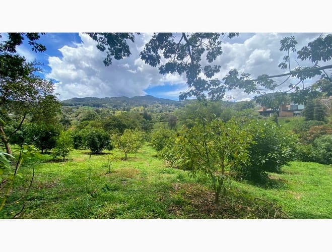 Lote en venta en El Tablazo, Rionegro, 12830 m² · foto 6 de 12