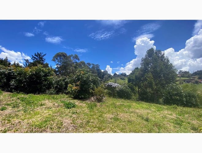 Lote en venta en El Tablazo, Rionegro, 12830 m² · foto 7 de 12