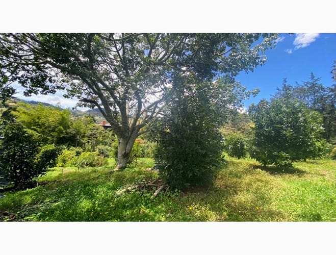 Lote en venta en El Tablazo, Rionegro, 12830 m² · foto 9 de 12