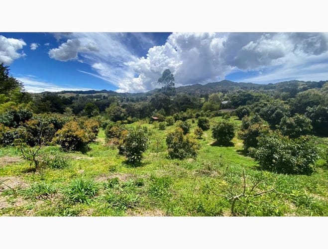 Lote en venta en El Tablazo, Rionegro, 12830 m² · foto 10 de 12