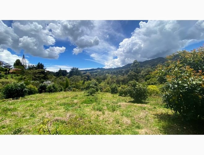 Lote en venta en El Tablazo, Rionegro, 12830 m² · foto 11 de 12