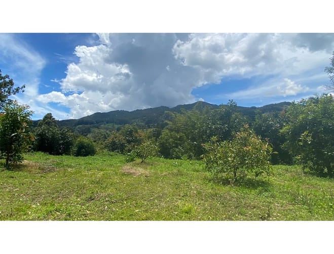 Lote en venta en El Tablazo, Rionegro, 12830 m² · foto 12 de 12