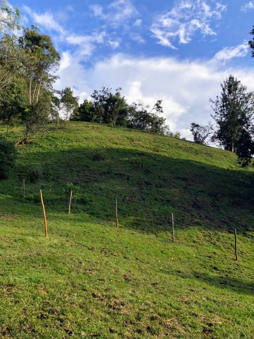 Finca en venta en Guamito, La Ceja, 14650 m² · foto 13 de 24
