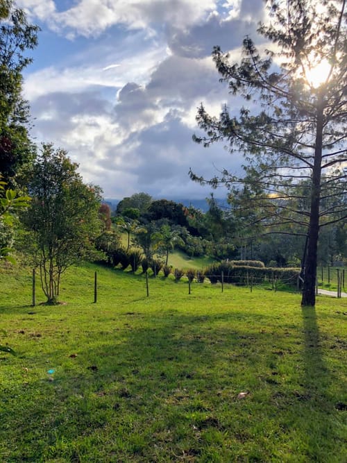 Finca en venta en Guamito, La Ceja, 14650 m² · foto 14 de 24