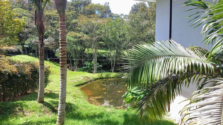 Casa de 6 alcobas en venta en Camargo, El Carmen de Viboral · foto 5 de 9