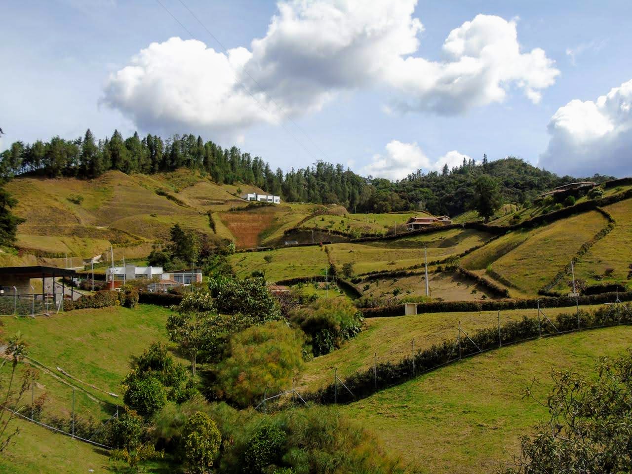 Land in El chuscal (2500 m²) for Sale