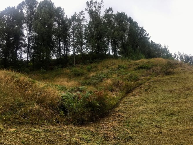 Lote en venta en El Chuscal, El Retiro, 2500 m² · foto 17 de 24