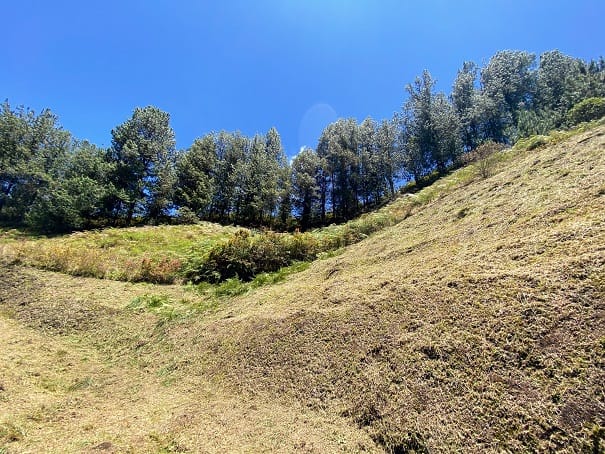 Lote en venta en El Chuscal, El Retiro, 2500 m² · foto 21 de 24