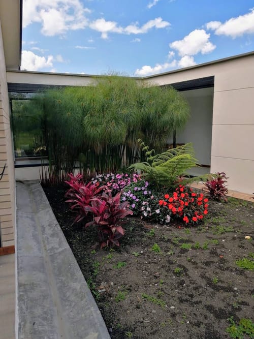 Casa de 4 alcobas en venta en El Carmen de Viboral · foto 6 de 14