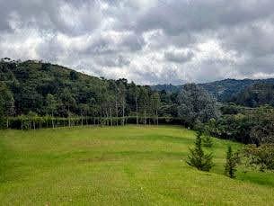 Lote en venta en Los Salados, El Retiro, 10000 m² · foto 2 de 8