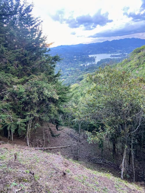 Lote en venta en Los Salados, El Retiro, 10000 m² · foto 5 de 8