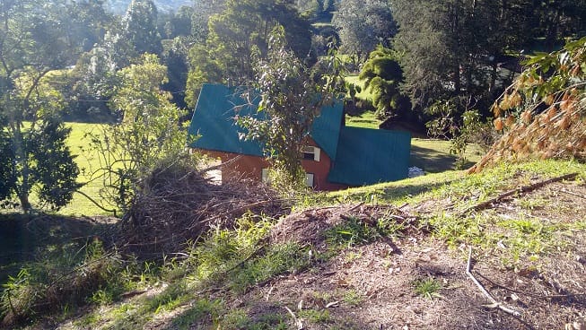 Finca en venta en Guamito, El Carmen de Viboral, 14650 m² · foto 4 de 24
