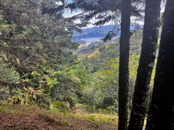 Lote en venta en Los Salados, El Retiro, 10000 m² · foto 7 de 8