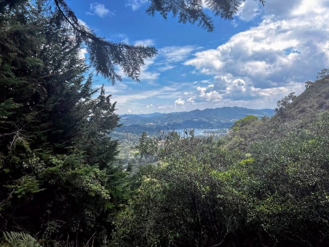 Lote en venta en Los Salados, El Retiro, 10000 m² · foto 8 de 8