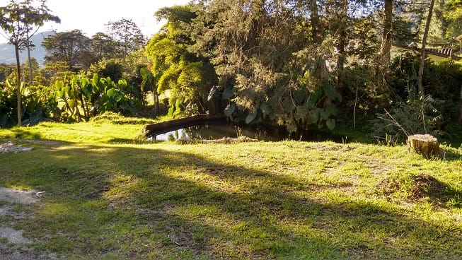 Finca en venta en Guamito, El Carmen de Viboral, 14650 m² · foto 7 de 24