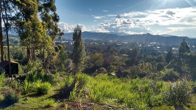 Finca en venta en Guamito, El Carmen de Viboral, 14650 m² · foto 9 de 24