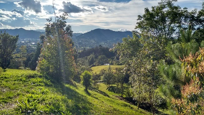 Finca en venta en Guamito, El Carmen de Viboral, 14650 m² · foto 10 de 24