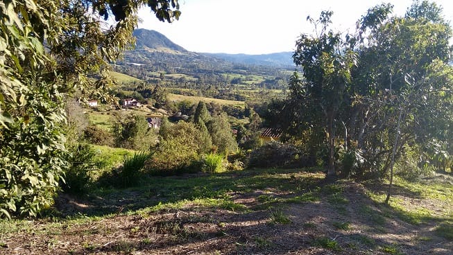 Finca en venta en Guamito, El Carmen de Viboral, 14650 m² · foto 13 de 24