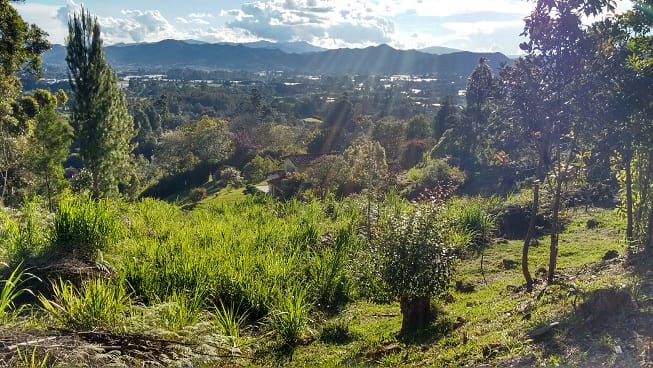 Finca en venta en Guamito, El Carmen de Viboral, 14650 m² · foto 15 de 24
