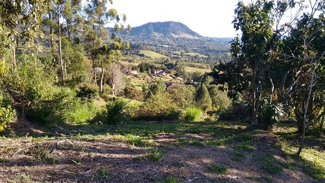Finca en venta en Guamito, El Carmen de Viboral, 14650 m² · foto 16 de 24