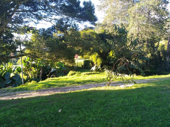 Finca en venta en Guamito, El Carmen de Viboral, 14650 m² · foto 17 de 24