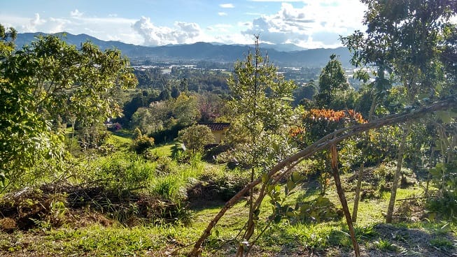 Finca en venta en Guamito, El Carmen de Viboral, 14650 m² · foto 18 de 24