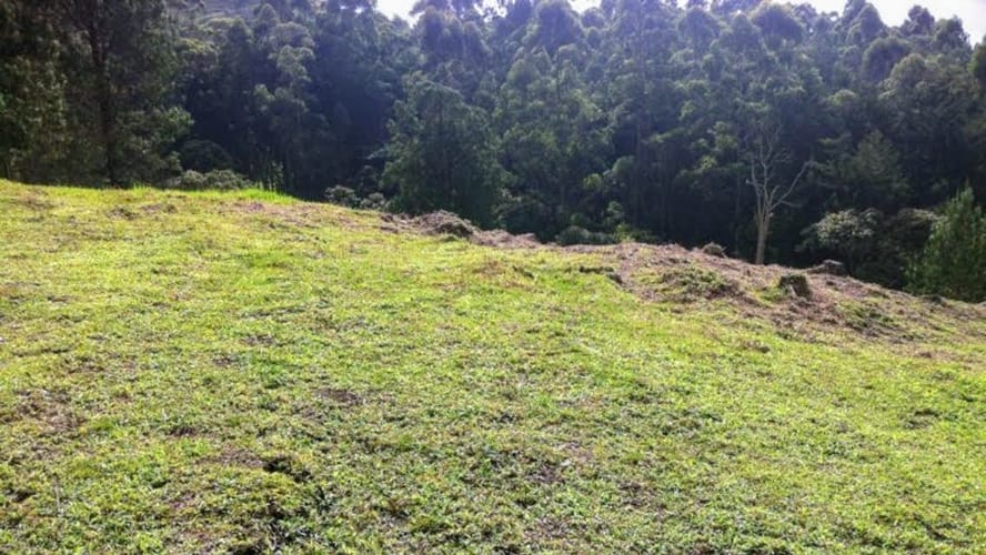 Lote en venta en Yarumal, Rionegro, 11500 m² · foto 6 de 7