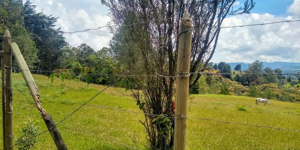 Lote en venta en Yarumal, Rionegro, 11500 m² · foto 7 de 7