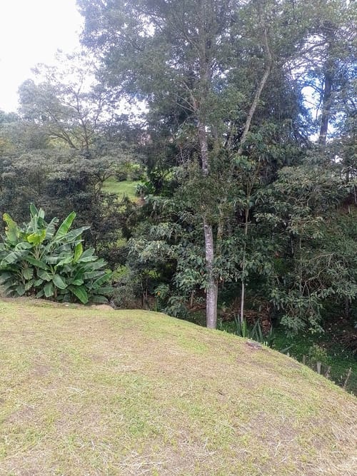 Finca en venta en El Chuscal, Rionegro, 7500 m² · foto 10 de 22