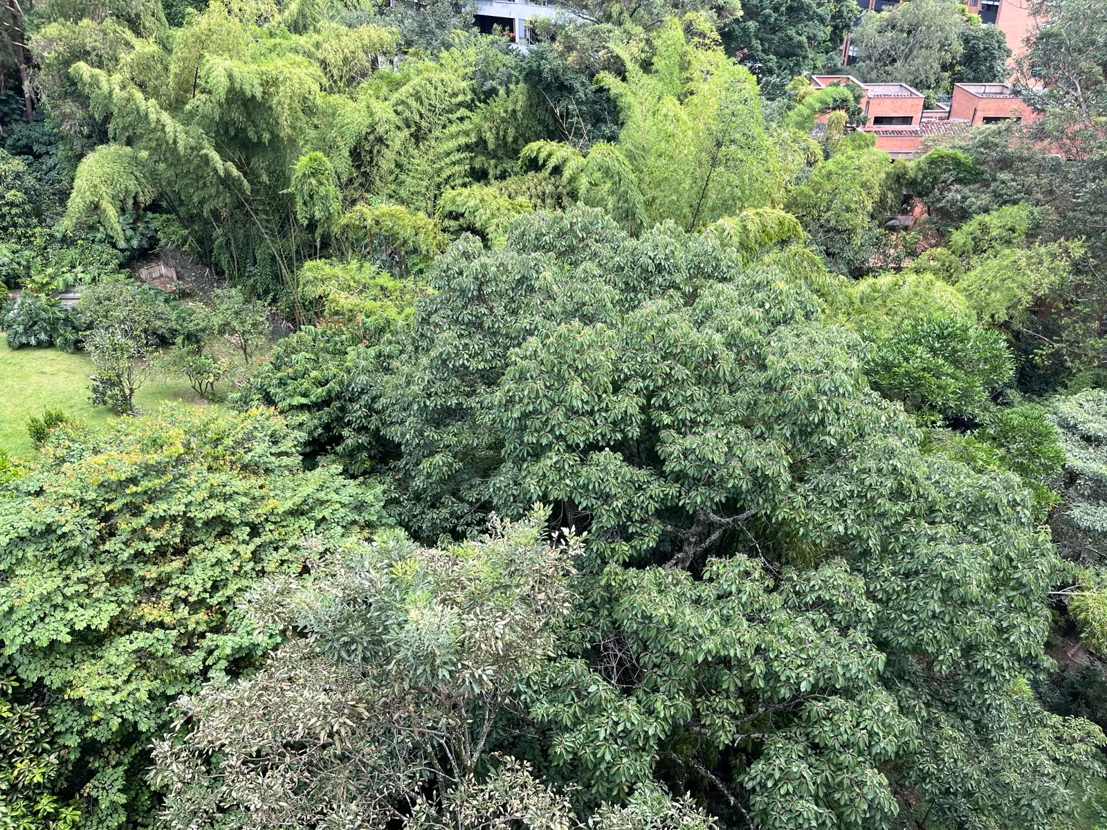 Apartamento en venta en La Candelaria, Medellín · foto 21 de 24