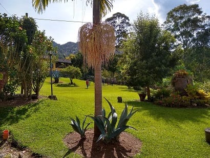 Finca en venta en El Tablazo, Rionegro, 13200 m² · foto 9 de 24