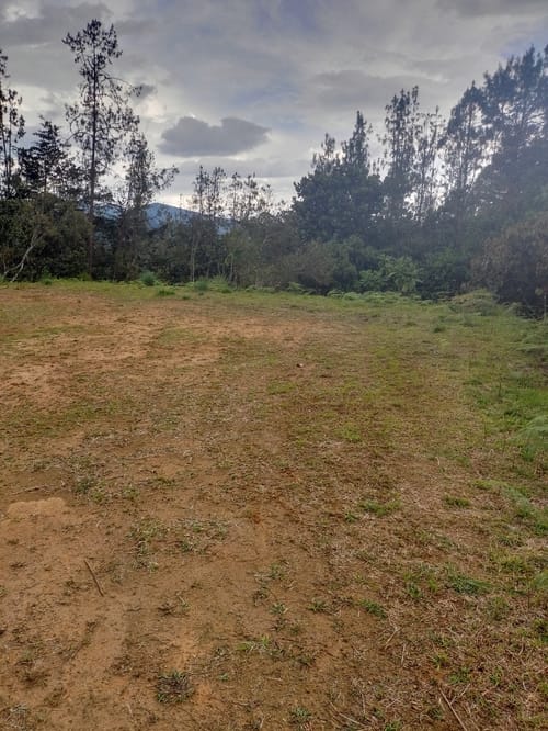 Lote en venta en Pantanillo, El Retiro, 1348 m² · foto 8 de 20