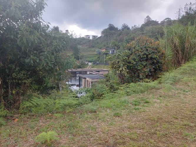 Lote en venta en Pantanillo, El Retiro, 1348 m² · foto 15 de 20