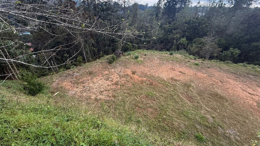 Lote en venta en Pantanillo, El Retiro, 1348 m² · foto 20 de 20