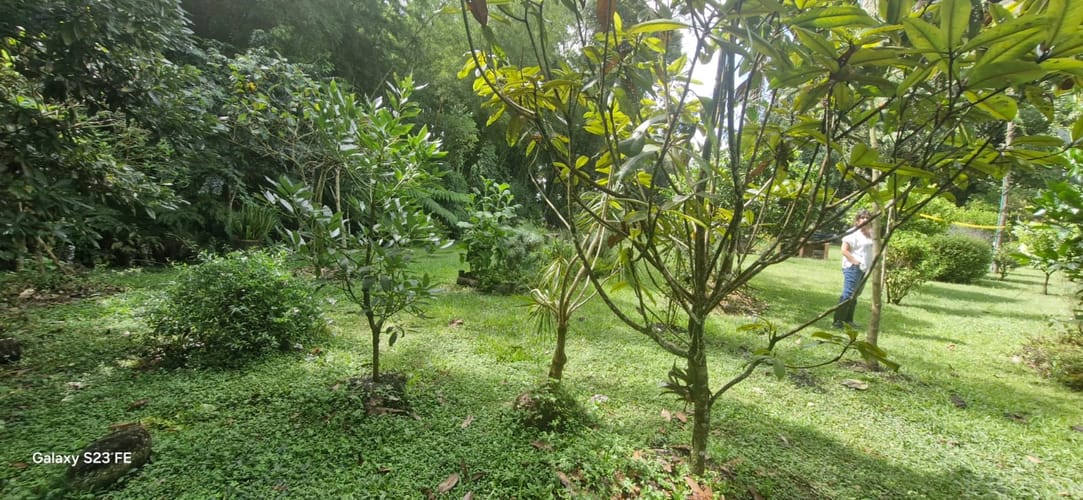 Lote en venta en El Porvenir, Rionegro, 3335 m² · foto 4 de 16