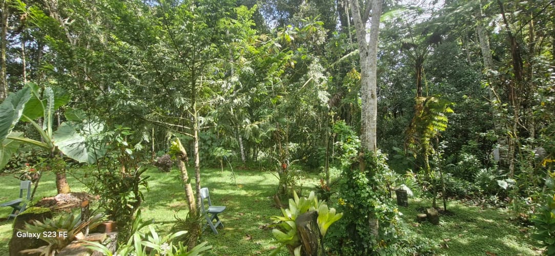 Lote en venta en El Porvenir, Rionegro, 3335 m² · foto 5 de 16