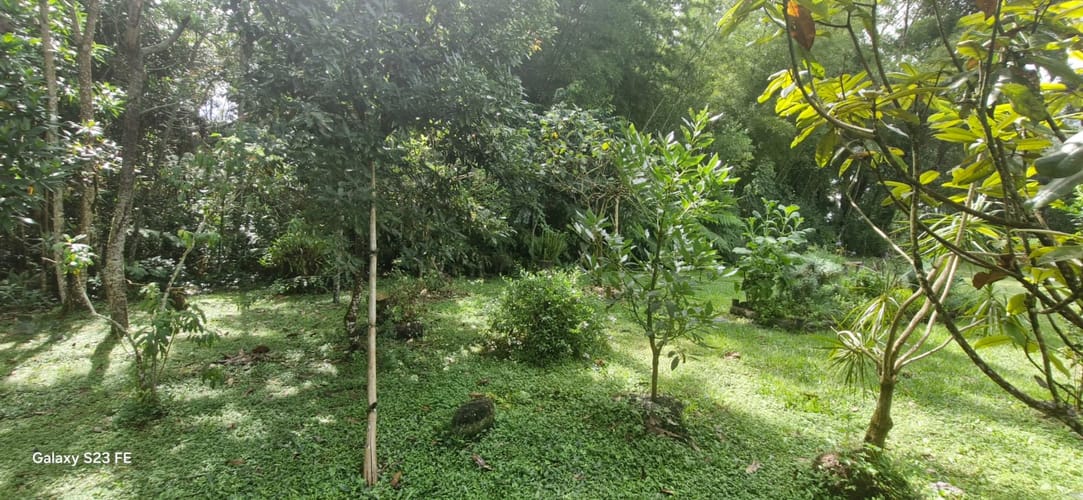 Lote en venta en El Porvenir, Rionegro, 3335 m² · foto 6 de 16