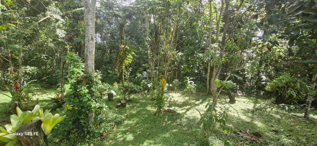 Lote en venta en El Porvenir, Rionegro, 3335 m² · foto 7 de 16