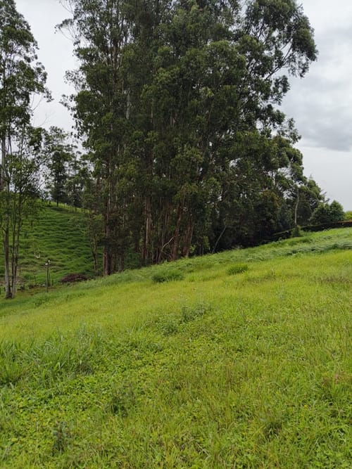 Lote en venta en El Carmen De Viboral, El Carmen de Viboral, 2500 m² · foto 2 de 8