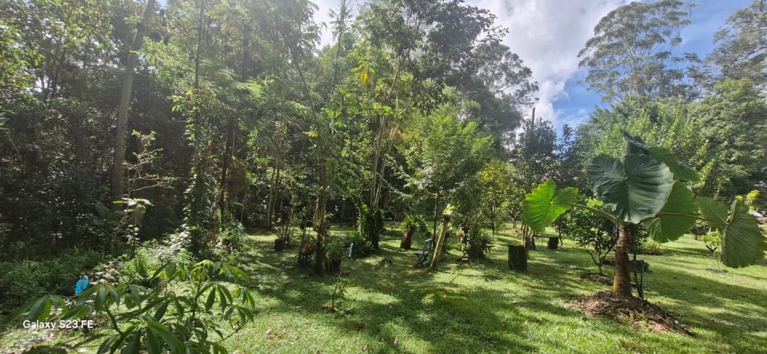 Lote en venta en El Porvenir, Rionegro, 3335 m² · foto 9 de 16