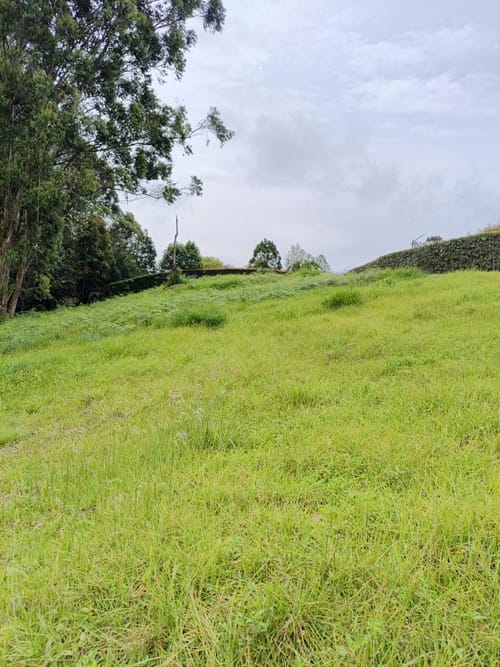 Lote en venta en El Carmen De Viboral, El Carmen de Viboral, 2500 m² · foto 4 de 8