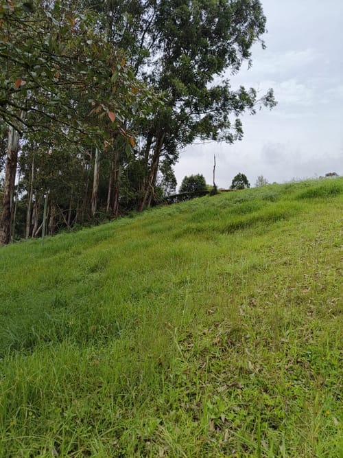 Lote en venta en El Carmen De Viboral, El Carmen de Viboral, 2500 m² · foto 5 de 8