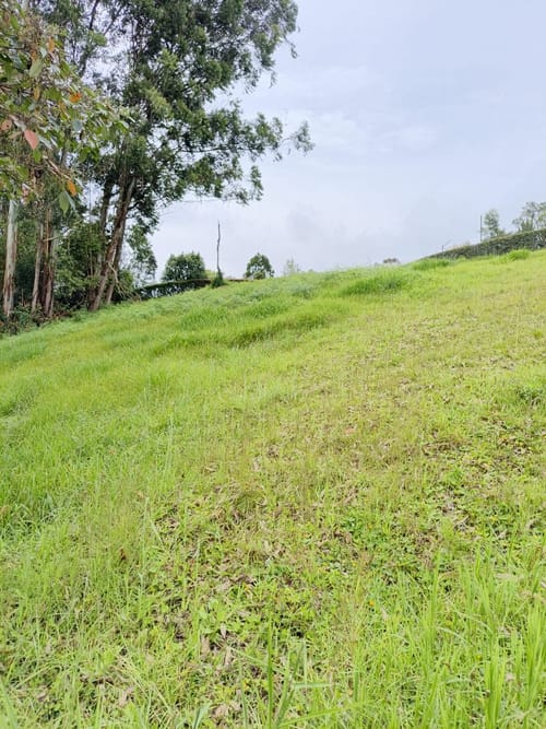Lote en venta en El Carmen De Viboral, El Carmen de Viboral, 2500 m² · foto 6 de 8